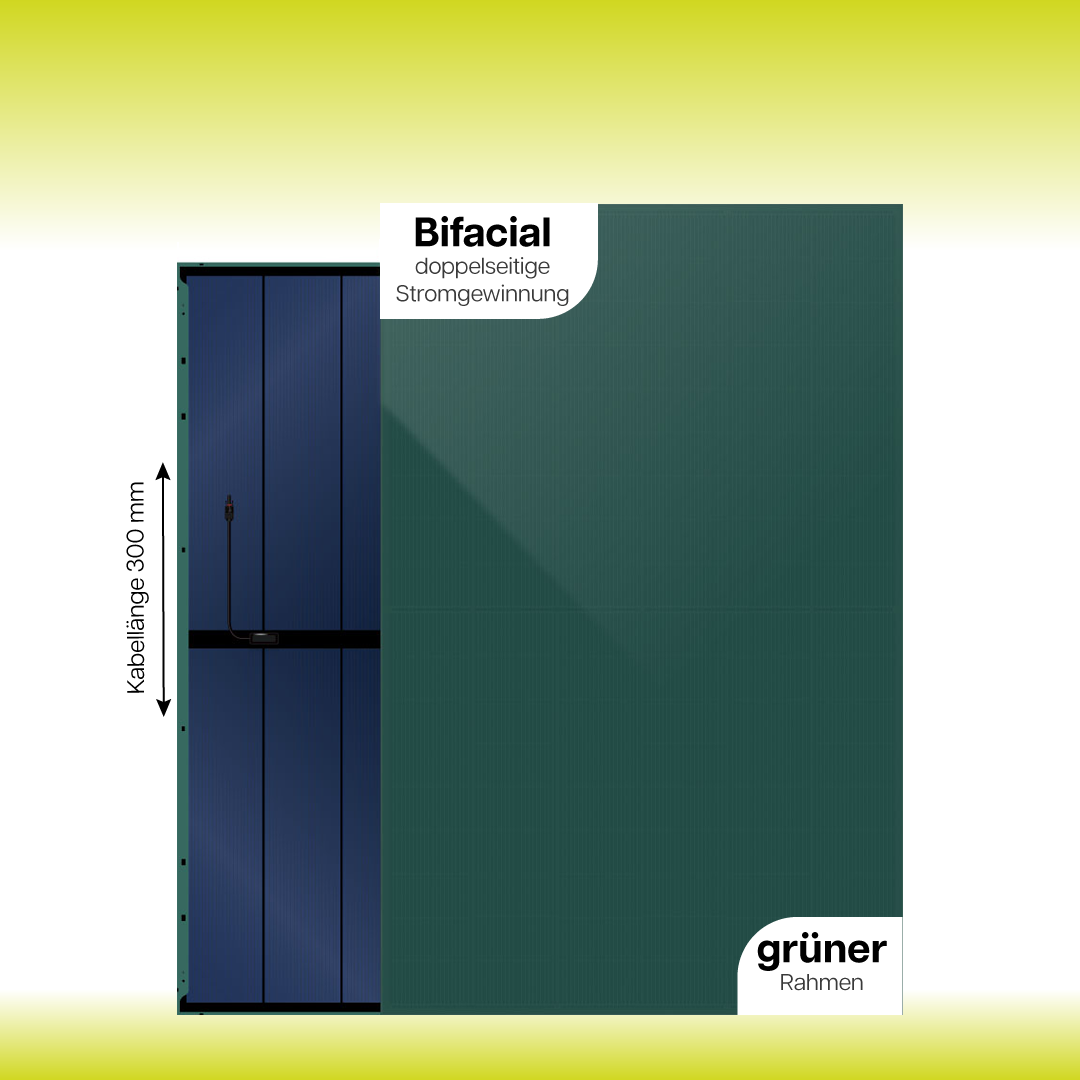 Solarmodul 430 Watt | Grün | Bifacial | Glas Glas | DAH SOLAR | DHN-54R20/DG(MM))